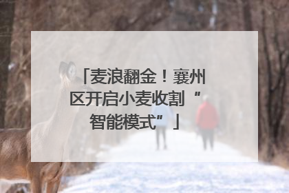 麦浪翻金！襄州区开启小麦收割“智能模式”
