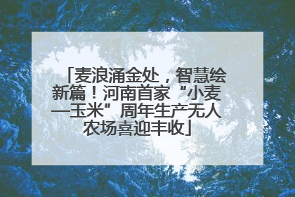 麦浪涌金处，智慧绘新篇！河南首家“小麦—玉米”周年生产无人农场喜迎丰收