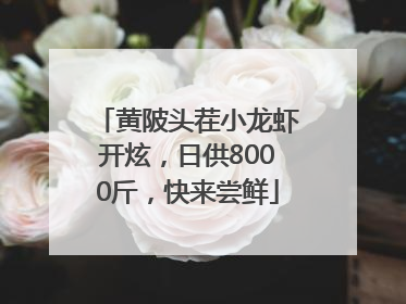 黄陂头茬小龙虾开炫，日供8000斤，快来尝鲜