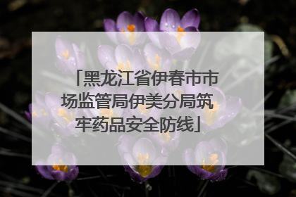黑龙江省伊春市市场监管局伊美分局筑牢药品安全防线