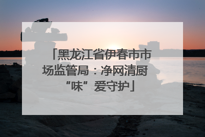 黑龙江省伊春市市场监管局：净网清厨 “味”爱守护