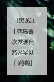 黑龙江千鹤岛首次发现自然界罕见白鸬鹚