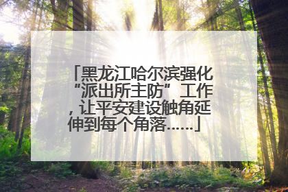 黑龙江哈尔滨强化“派出所主防”工作，让平安建设触角延伸到每个角落……