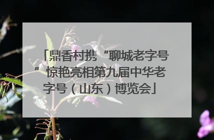 鼎香村携“聊城老字号”惊艳亮相第九届中华老字号（山东）博览会