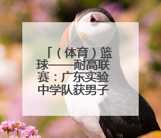 （体育）篮球——耐高联赛：广东实验中学队获男子组总冠军