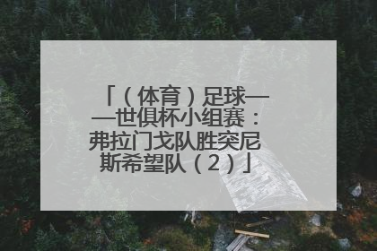 （体育）足球——世俱杯小组赛：弗拉门戈队胜突尼斯希望队（2）