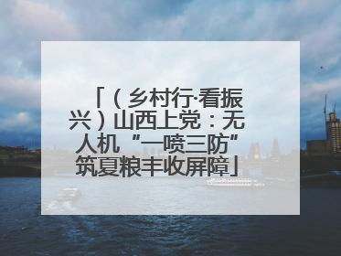 （乡村行·看振兴）山西上党：无人机“一喷三防”筑夏粮丰收屏障