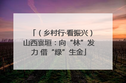 (乡村行·看振兴)山西襄垣:向“林”发力 借“绿”生金