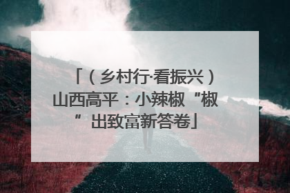 （乡村行·看振兴）山西高平：小辣椒“椒”出致富新答卷