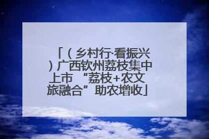 （乡村行·看振兴）广西钦州荔枝集中上市 “荔枝+农文旅融合”助农增收