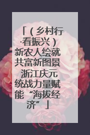 （乡村行·看振兴）新农人绘就共富新图景 浙江庆元统战力量赋能“海拔经济”