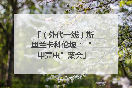 （外代一线）斯里兰卡科伦坡：“甲壳虫”聚会