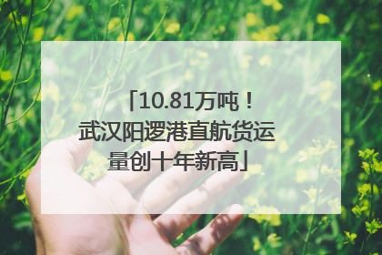 10.81万吨！武汉阳逻港直航货运量创十年新高