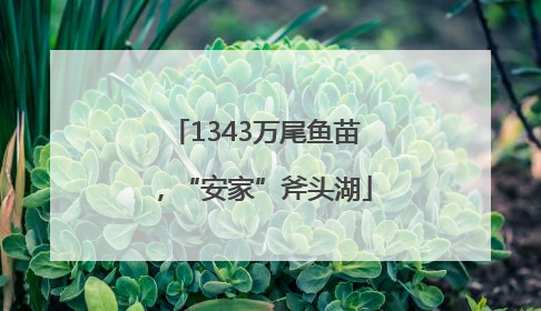 1343万尾鱼苗，“安家”斧头湖