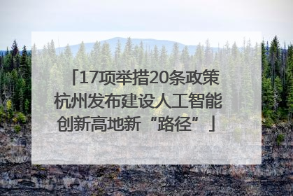17项举措20条政策 杭州发布建设人工智能创新高地新“路径”