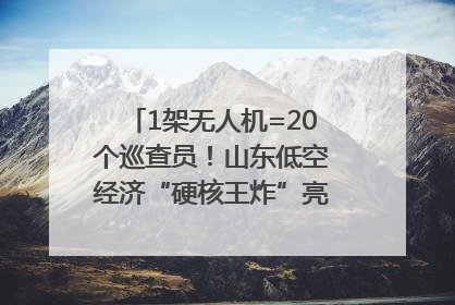1架无人机=20个巡查员！山东低空经济“硬核王炸”亮相青岛，下一个万亿赛道藏在这里