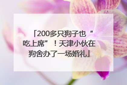 200多只狗子也“吃上席”！天津小伙在狗舍办了一场婚礼