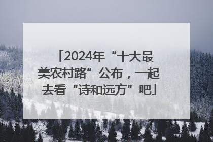 2024年“十大最美农村路”公布，一起去看“诗和远方”吧