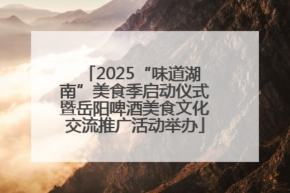 2025“味道湖南”美食季启动仪式暨岳阳啤酒美食文化交流推广活动举办