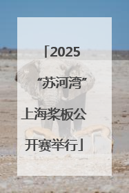 2025“苏河湾”上海桨板公开赛举行