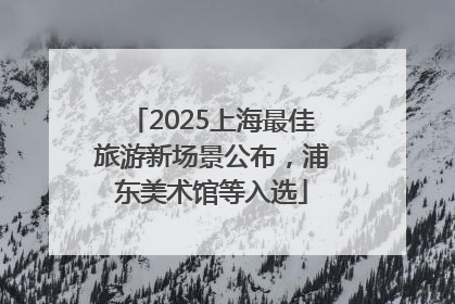 2025上海最佳旅游新场景公布，浦东美术馆等入选