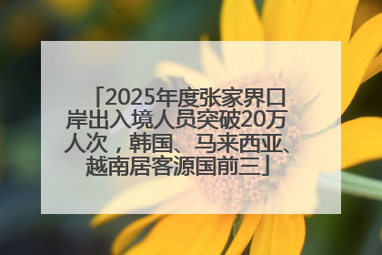 2025年度张家界口岸出入境人员突破20万人次，韩国、马来西亚、越南居客源国前三