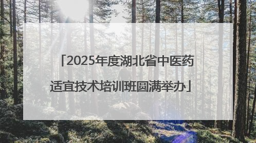 2025年度湖北省中医药适宜技术培训班圆满举办