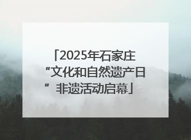 2025年石家庄“文化和自然遗产日”非遗活动启幕