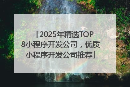 2025年精选TOP8小程序开发公司，优质小程序开发公司推荐