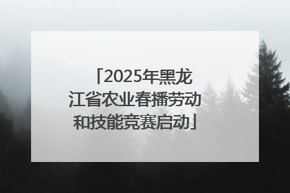 2025年黑龙江省农业春播劳动和技能竞赛启动