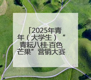 2025年青年（大学生）“青耘八桂·百色芒果”营销大赛开幕