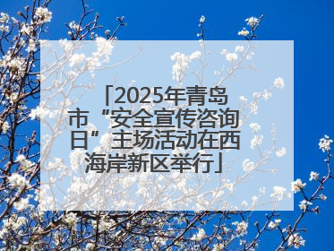 2025年青岛市“安全宣传咨询日”主场活动在西海岸新区举行