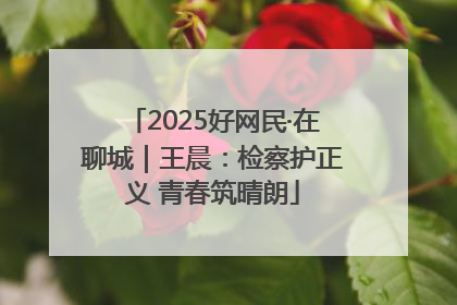 2025好网民·在聊城｜王晨：检察护正义 青春筑晴朗