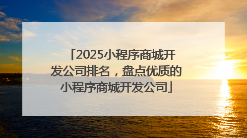 2025小程序商城开发公司排名，盘点优质的小程序商城开发公司