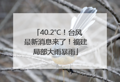 40.2℃！台风最新消息来了！福建局部大雨暴雨