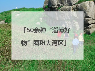 50余种“淄博好物”圈粉大湾区