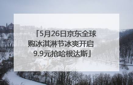 5月26日京东全球购冰淇淋节冰爽开启 9.9元抢哈根达斯