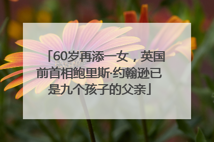 60岁再添一女，英国前首相鲍里斯·约翰逊已是九个孩子的父亲