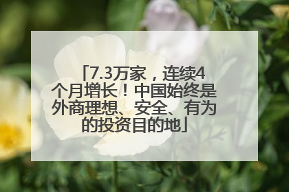 7.3万家，连续4个月增长！中国始终是外商理想、安全、有为的投资目的地