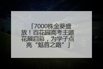 7000株金葵盛放！百花园高考主题花展启幕，为学子点亮“魁首之路”