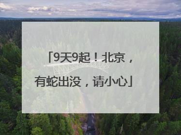 9天9起！北京，有蛇出没，请小心