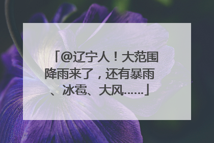 @辽宁人！大范围降雨来了，还有暴雨、冰雹、大风……