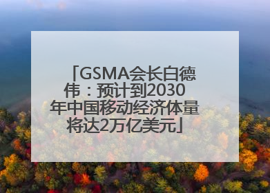 GSMA会长白德伟：预计到2030年中国移动经济体量将达2万亿美元