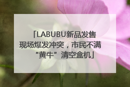 LABUBU新品发售现场爆发冲突，市民不满“黄牛”清空盒机
