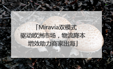 Miravia双模式驱动欧洲市场，物流降本增效助力商家出海