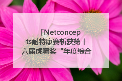 Netconcepts耐特康赛斩获第十六届虎啸奖“年度综合服务商”大奖