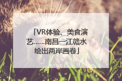 VR体验、美食演艺……南昌一江赣水绘出两岸画卷